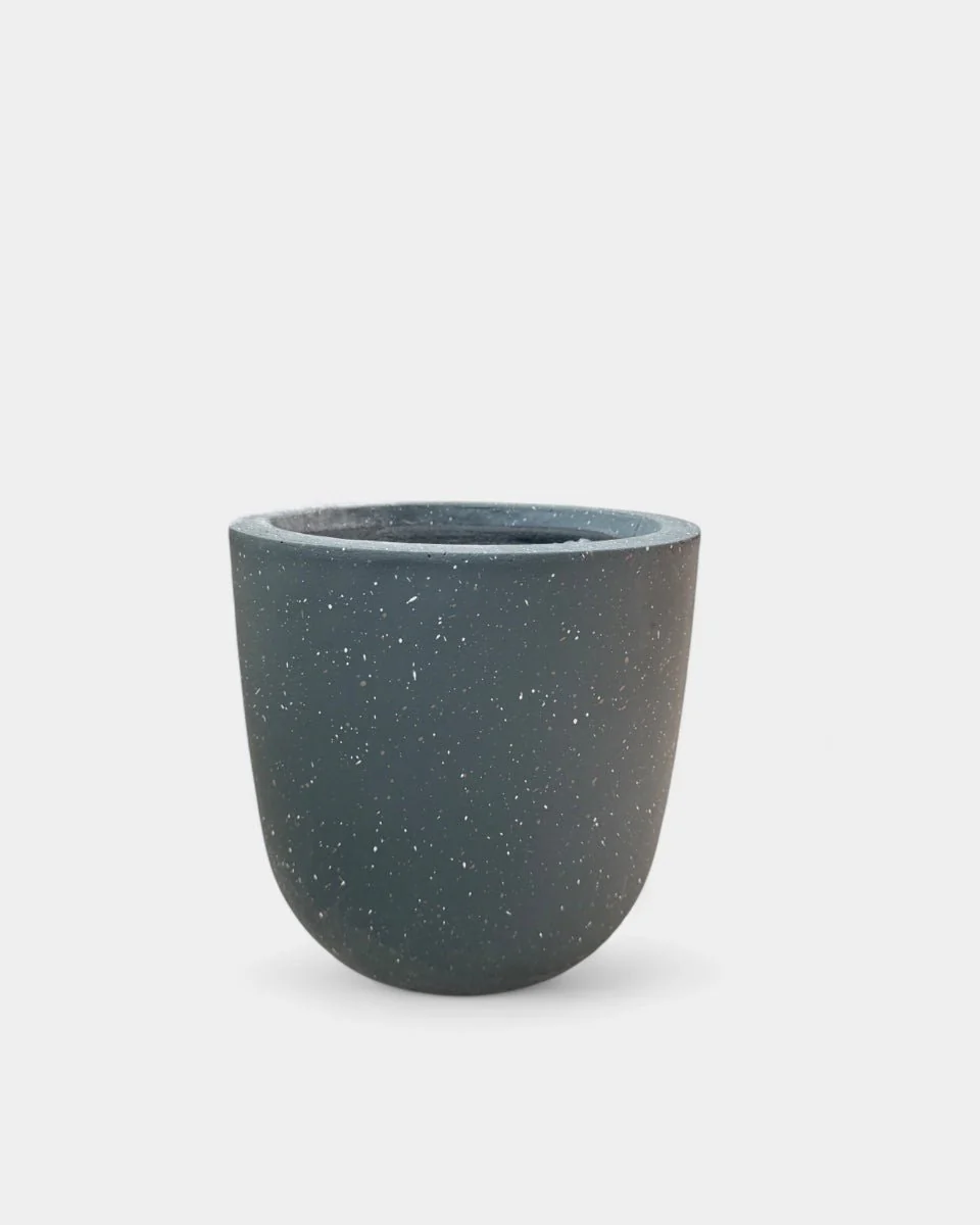 Zeni Planter - Large - Image 15