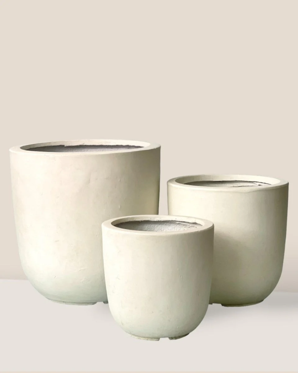 Zeni Planter Collection