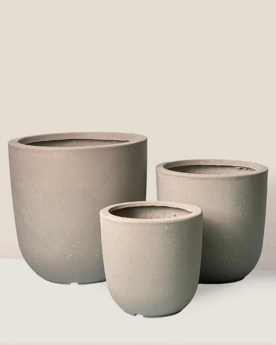 Zeni Planter Collection - Image 13